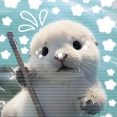 Cute Seal
