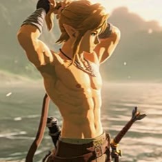 Link Pfp
